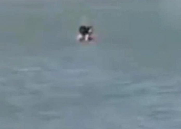 Pareja tiene sexo en playa de Colombia