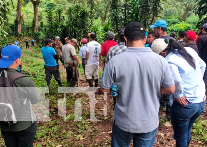 Encuentran cuerpo sin vida en medio de unos cafetales en Jinotega