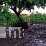 21 de septiembre: Informate de las noticias más relevantes de Nicaragua Una historia de susto fue la de un hombre que fue impactado por un rayo en Managua