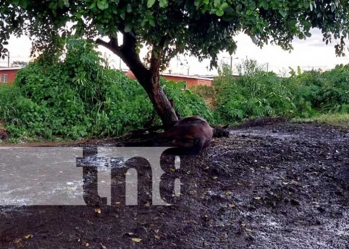 Una historia de susto fue la de un hombre que fue impactado por un rayo en Managua