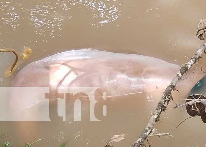 Dos personas mueren al ahogarse en un río de Matiguás