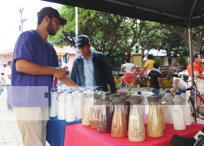 semilla-nandaime-44 Presentación del INTA en Nandaime sobre semillas mejoradas
