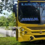 Bus se estrella contra dos semovientes en la vía a Villa Sandino, Chontales : Aparatoso accidente con bus y semovientes en una vía de Chontales