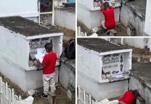 ¡Video conmovedor! pequeño visita la tumba de su mami para darle diploma Niño visita tumba de su mamá y su reacción te hará llorar