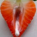 ¿La vagina envejece? Sí, y estos son los pasos para regenerarla A medida que la vagina envejece pierde su color rosado