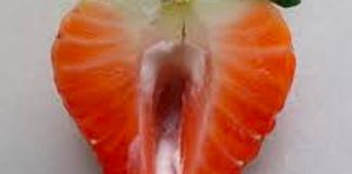 A medida que la vagina envejece pierde su color rosado