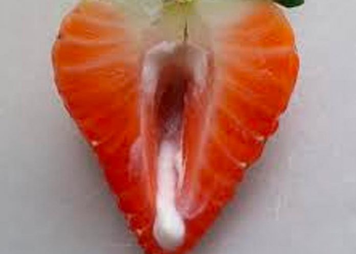 A medida que la vagina envejece pierde su color rosado