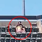 ¡Sin pena! En pleno juego de béisbol le "chupa el alma" al novio (VIDEO)