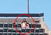¡Sin pena! En pleno juego de béisbol le "chupa el alma" al novio (VIDEO)