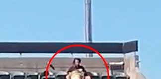 ¡Sin pena! En pleno juego de béisbol le "chupa el alma" al novio (VIDEO)