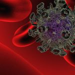 « Las bacterias intestinales» pueden contribuir a la susceptibilidad a la infección por VIH « Las bacterias intestinales» pueden contribuir a la susceptibilidad a la infección por VIH