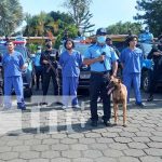 Delincuentes de peligrosidad capturados en Chinandega y Masaya