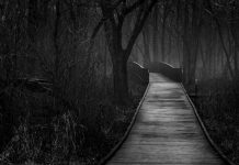 «Donde pasea Satanás»: Así es el misterioso Puente del Diablo en Alemania "Donde pasea Satanás": Así es el misterioso Puente del Diablo en Alemania