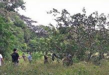 Encuentran muerto y sin ropa a menor de 12 años que había desaparecido en Honduras Encuentran muerto y sin ropa a menor de 12 años que había desaparecido en Honduras