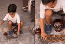 «La inocencia», niño es viral por jugar con las cenizas de la abuela "La inocencia", niño es viral por jugar con las cenizas de la abuela