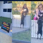 Perrita se vuelve viral por pedir a los vecinos que la acaricien