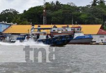 Instituciones realizan ejercicio de seguridad portuaria en Bluefields Instituciones realizan ejercicio de seguridad portuaria en Bluefields
