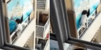Bebé camina al borde de una ventana en edificio de 21 pisos (VIDEO)