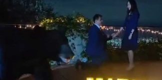 "No estaba invitado": Oso interrumpe pedida de mano de una pareja