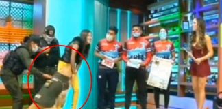 Perro policía se pone "caliente" con presentadora durante programa