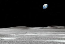 Para el 2025 científicos planean cultivar plantas en la Luna Para el 2025 científicos planean cultivar plantas en la Luna