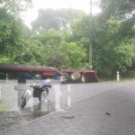 Aparente falta de pericia provoca accidente en la Isla de Ometepe Aparente falta de pericia provoca accidente en la Isla de Ometepe