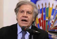 OEA ¿Y QUÉ? OEA ¿Y QUÉ?