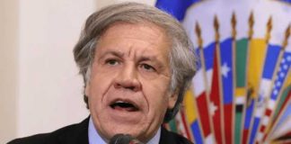 OEA ¿Y QUÉ?