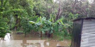 Huracán Julia preliminarmente dejó millonarias perdidas en Nicaragua