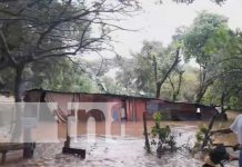Más de 300 familias afectadas en Potosí tras el paso de la Tormenta Tropical Julia Más de 300 familias afectadas en Potosí tras el paso de la Tormenta Tropical Julia