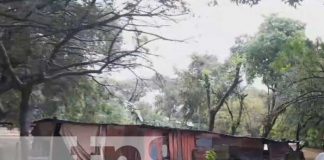 Más de 300 familias afectadas en Potosí tras el paso de la Tormenta Tropical Julia