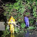 Chinandega en Alerta tras el paso de la Tormenta Tropical Julia Foto: Chinandega en Alerta tras el paso de la Tormenta Tropical Julia/TN8