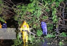 Chinandega en Alerta tras el paso de la Tormenta Tropical Julia Foto: Chinandega en Alerta tras el paso de la Tormenta Tropical Julia/TN8