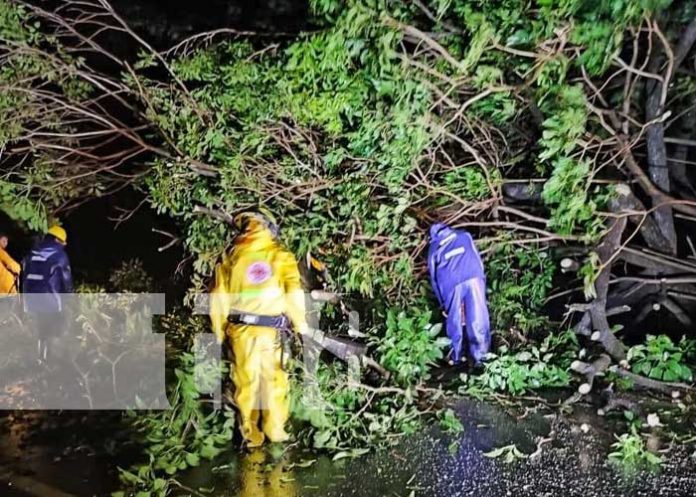 1 Foto: Chinandega en Alerta tras el paso de la Tormenta Tropical Julia/TN8