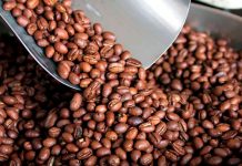 Aumenta la oferta de café nicaragüense en el comercio electrónico de Corea Aumenta la oferta de café nicaragüense en el comercio electrónico de Corea