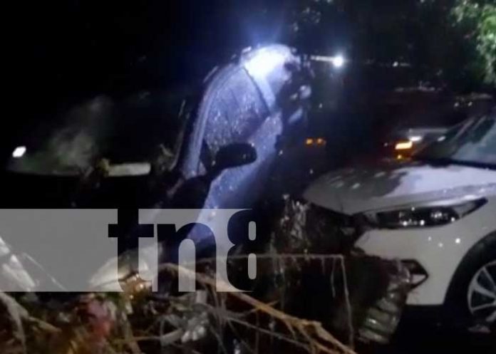 Torrencial aguacero causa estragos en varios puntos de la capital