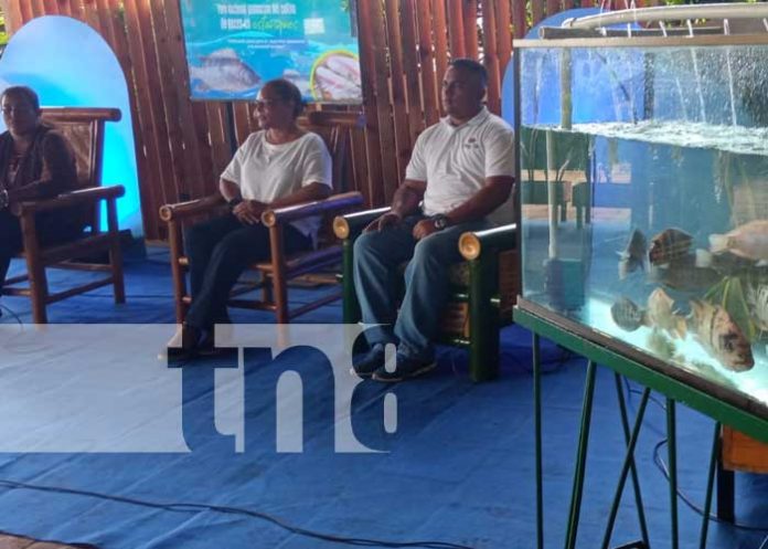 MEFCCA fortalece producción y promueve consumo de peces en Nicaragua