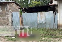 ¡Que bandido! «El Puya» hace de las suyas en un barrio de Jalapa "El Puya" hace de las suyas en un barrio de Jalapa
