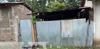 "El Puya" hace de las suyas en un barrio de Jalapa