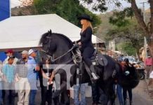 Caballistas de todo el país participaron del desfile hípico en Jinotega Caballistas de todo el país participaron del desfile hípico en Jinotega