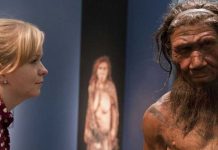 Cavernícolas y seres humanos cohabitaron durante más de dos mil años