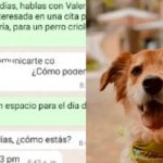 Peluquería se indigna con el nombre de un perro y su dueña los expone