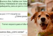 Peluquería se indigna con el nombre de un perro y su dueña los expone