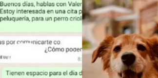 Peluquería se indigna con el nombre de un perro y su dueña los expone