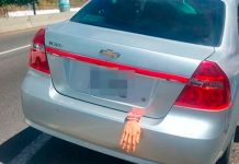 Viral: Decoran un carro por Halloween y pobladores llaman a la policía