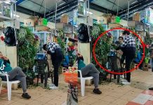 ¿Todo bien firulais? Llevan a un perro para una limpia contra la mala suerte