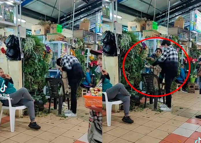 ¿Todo bien firulais? Llevan a un perro para una limpia contra la mala suerte