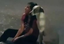 «Amigo fiel»: Mujer llora tristemente bajo la lluvia y su perro la acompaña "Amigo fiel": Mujer llora tristemente bajo la lluvia y su perro la acompaña