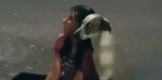 "Amigo fiel": Mujer llora tristemente bajo la lluvia y su perro la acompaña