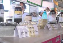 Estelí es la sede de la 4ta edición del certamen a la innovación Estelí es la sede de la 4ta edición del certamen a la innovación